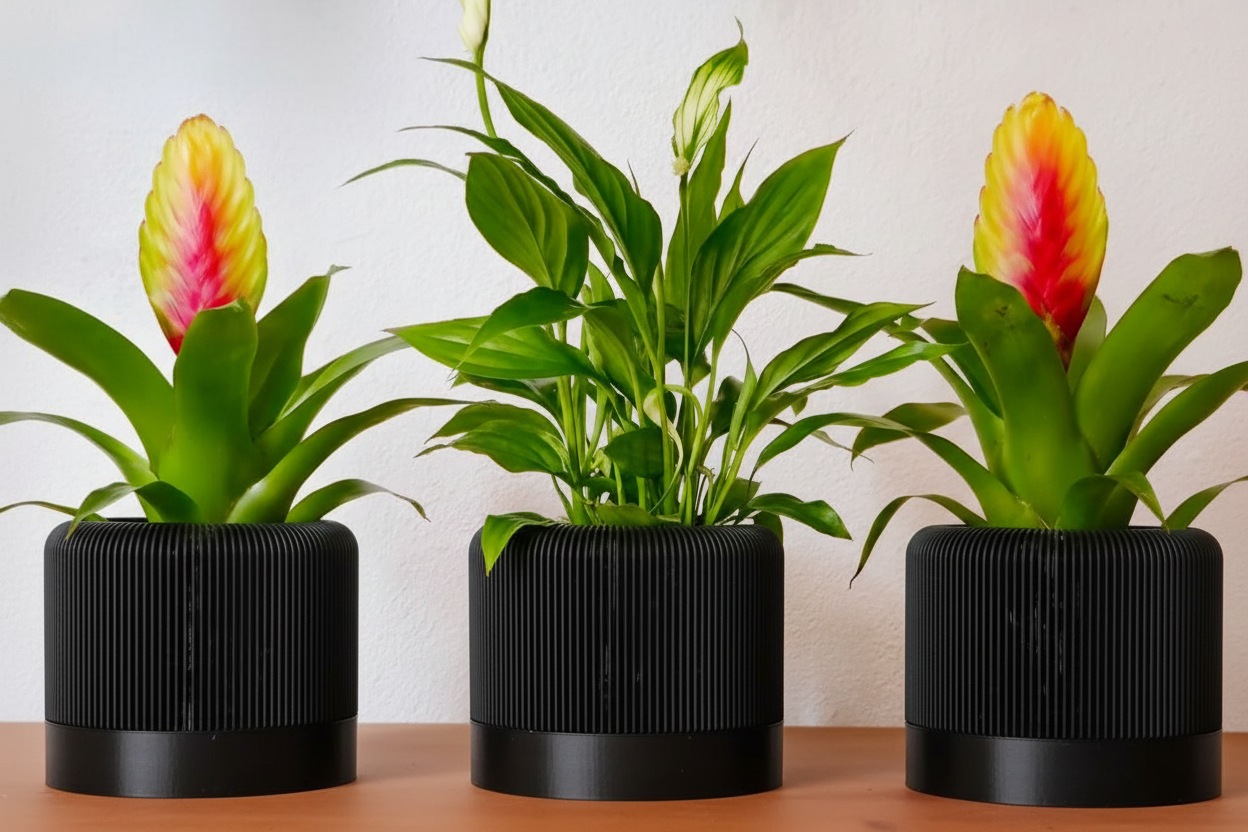 Vasos pretos com plantas